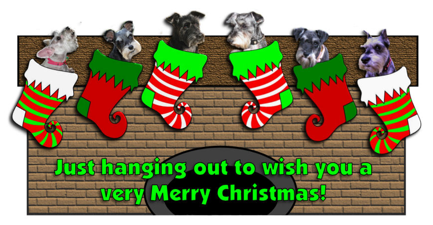 minis in stockings with bkgd new