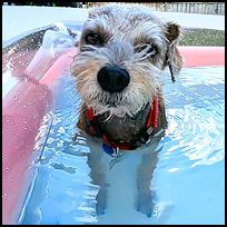 Baxter3