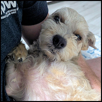 Baxter5
