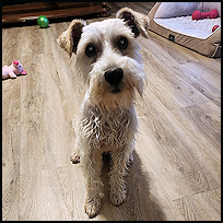 Winston3