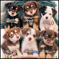 Pups1