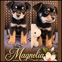 Pups6