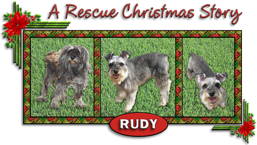 Christmas 14 main graphic